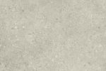 25185236
